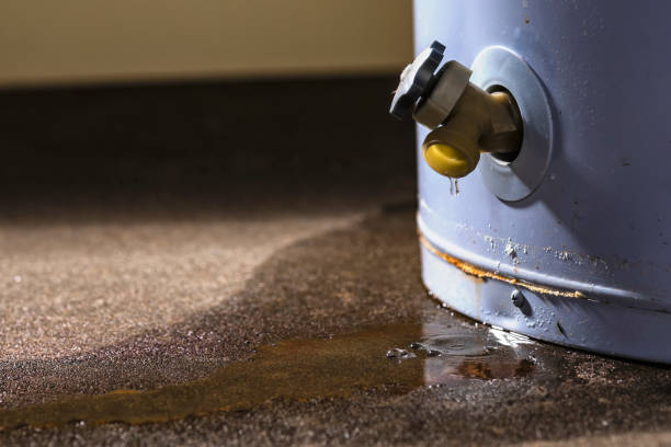 Best Water damage cleanup near me  in West Rancho Dominguez, CA
