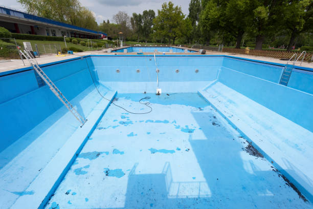 Best Water damage contractors near me  in West Rancho Dominguez, CA