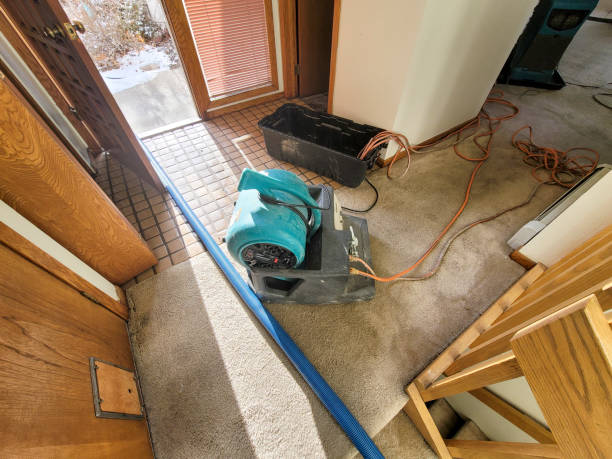 Best Basement water damage restoration  in West Rancho Dominguez, CA
