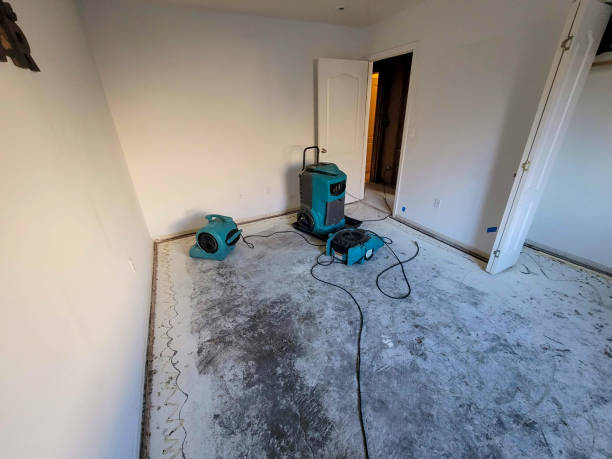 Best Water damage restoration experts  in West Rancho Dominguez, CA