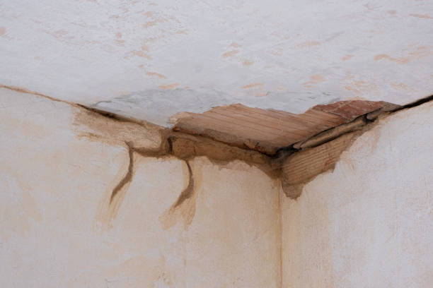 Best 24-hour water damage restoration  in West Rancho Dominguez, CA