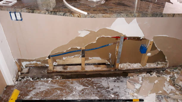 Best Flood restoration services  in West Rancho Dominguez, CA