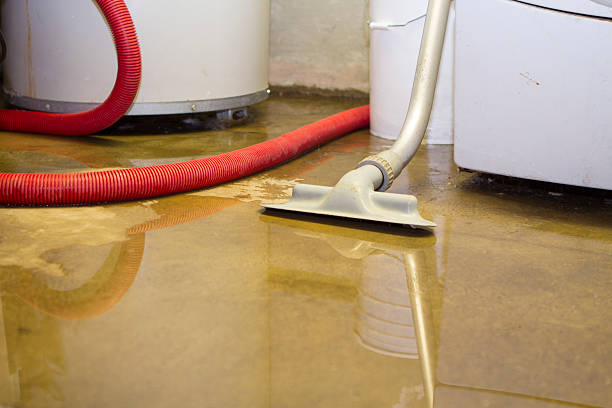 Best Sewage cleanup and water damage restoration  in West Rancho Dominguez, CA