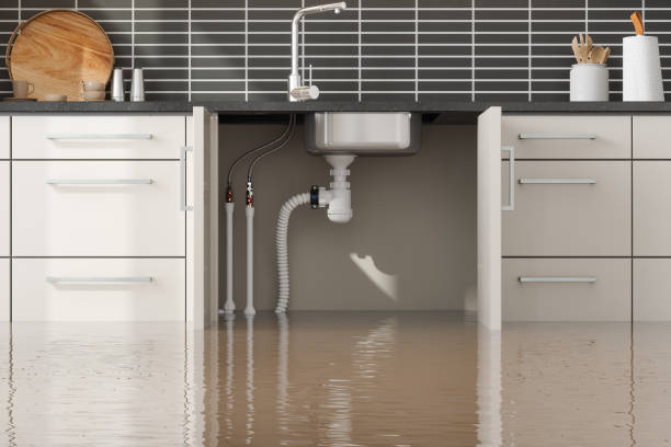 Best Sewage cleanup and water damage restoration  in West Rancho Dominguez, CA