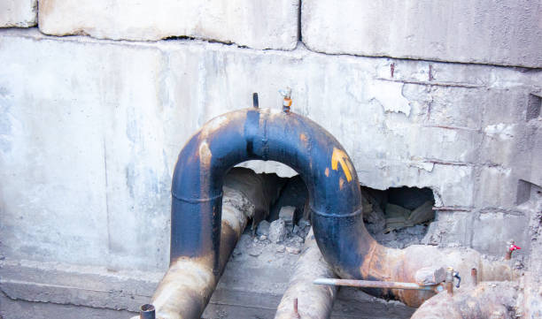 Best 24/7 water damage repair  in West Rancho Dominguez, CA