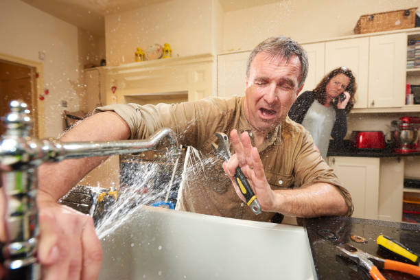 Best Water damage mitigation services  in West Rancho Dominguez, CA